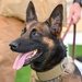 Rookie MWD Ssoto trains to be mission ready