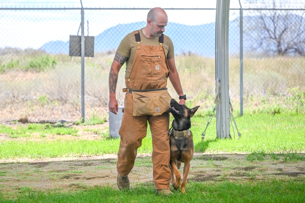 Rookie MWD Ssoto trains to be mission ready