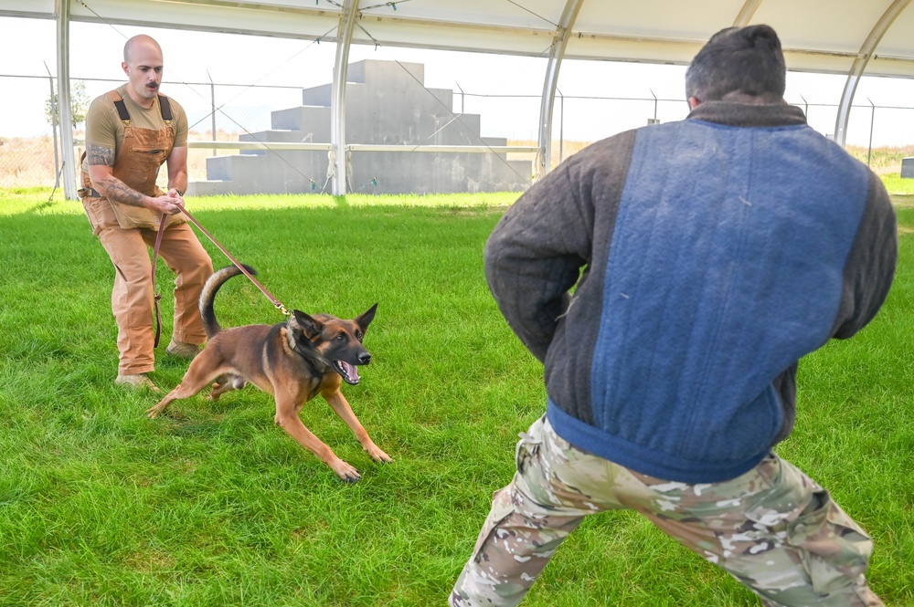 Rookie MWD Ssoto trains to be mission ready