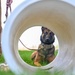 Rookie MWD Ssoto trains to be mission ready