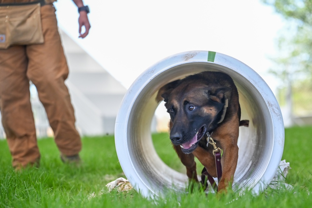 Rookie MWD Ssoto trains to be mission ready