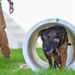 Rookie MWD Ssoto trains to be mission ready