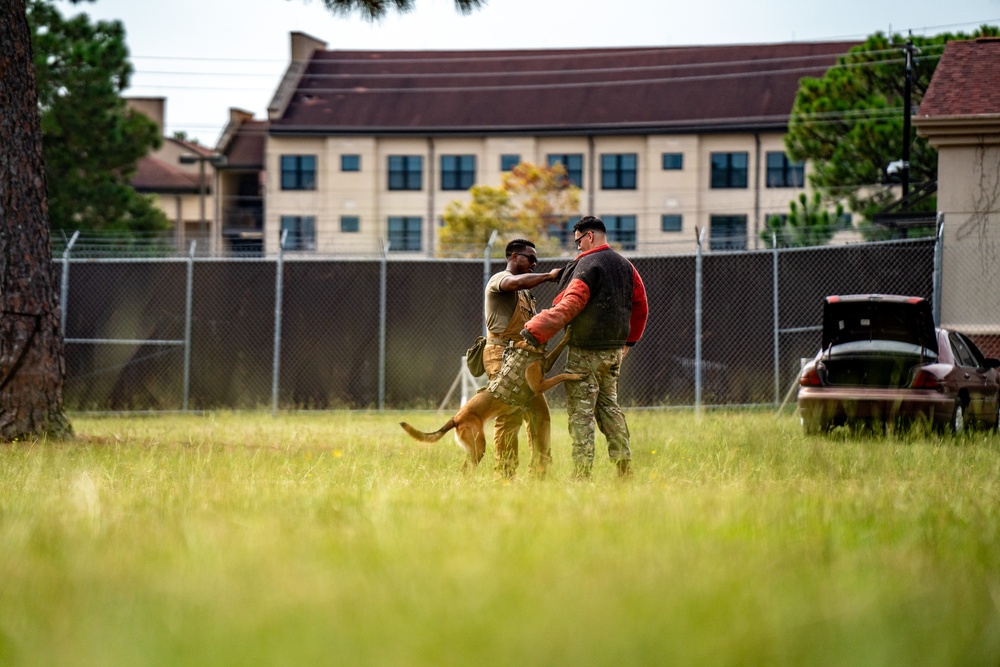DSTB K9 Training