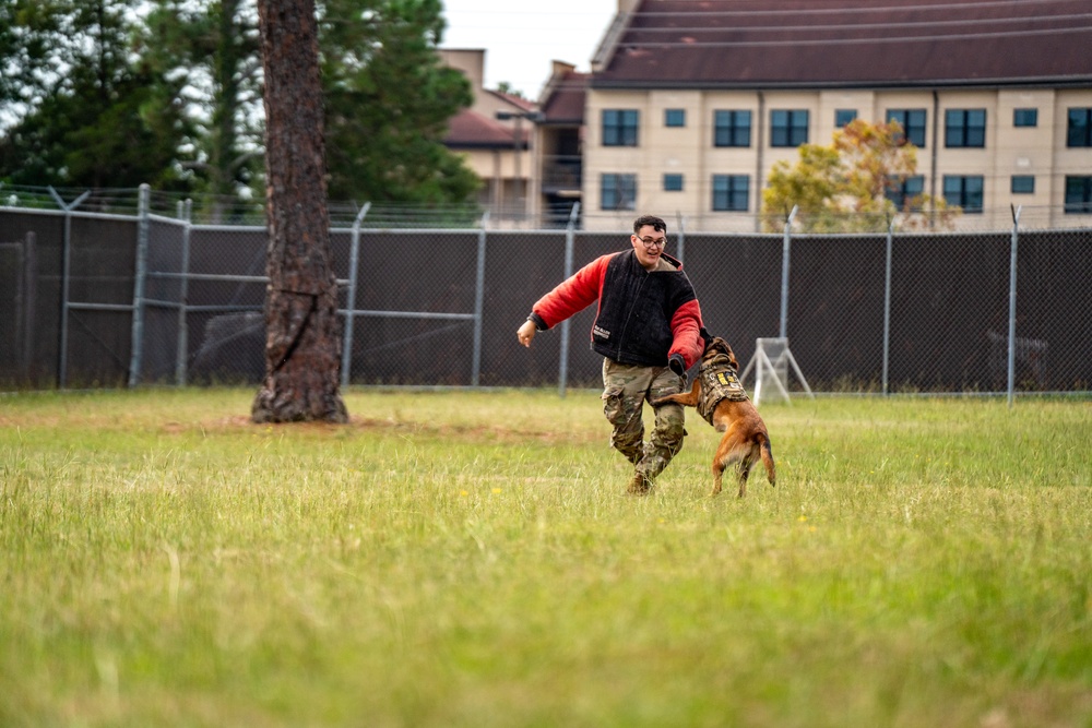 DSTB K9 Training