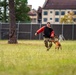 DSTB K9 Training
