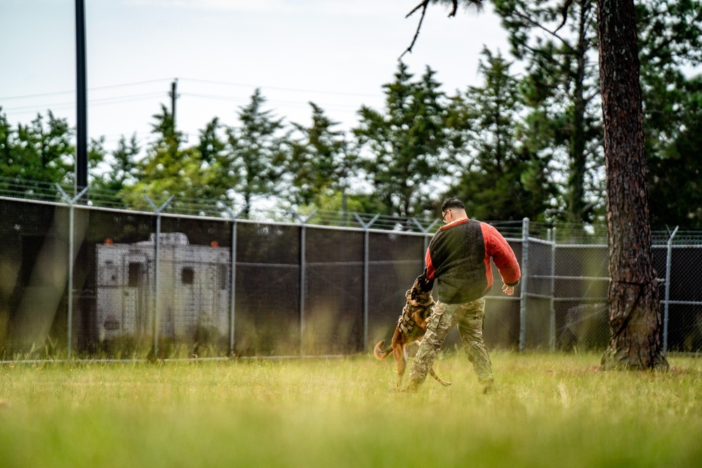 DSTB K9 Training