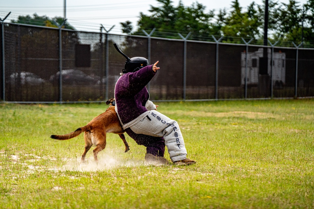 DSTB K9 Training