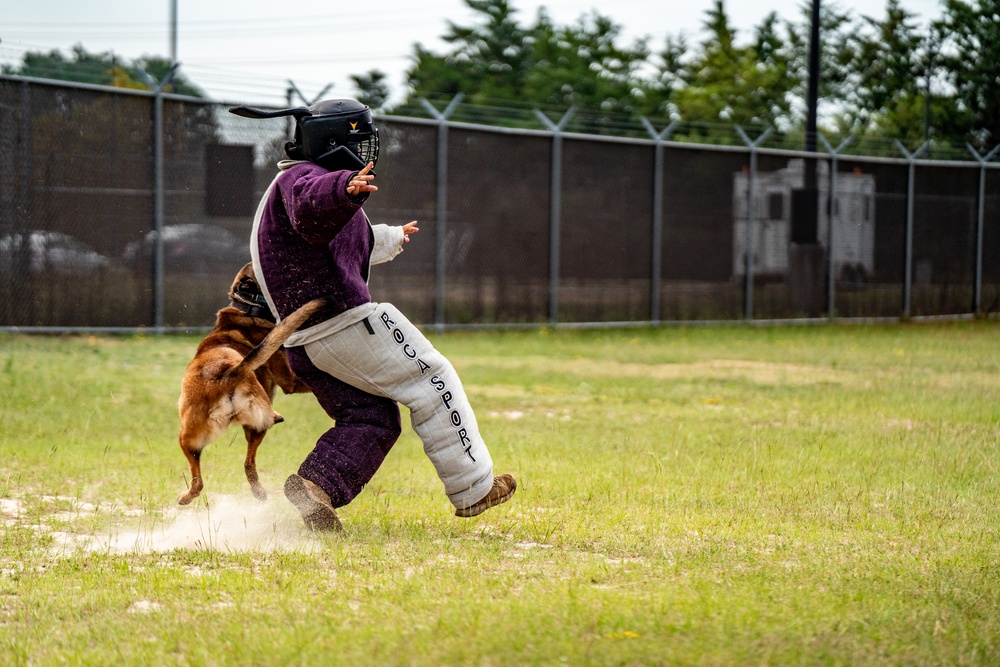 DSTB K9 Training