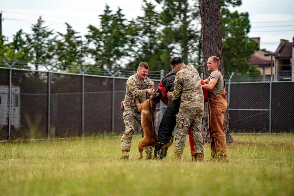 DSTB K9 Training