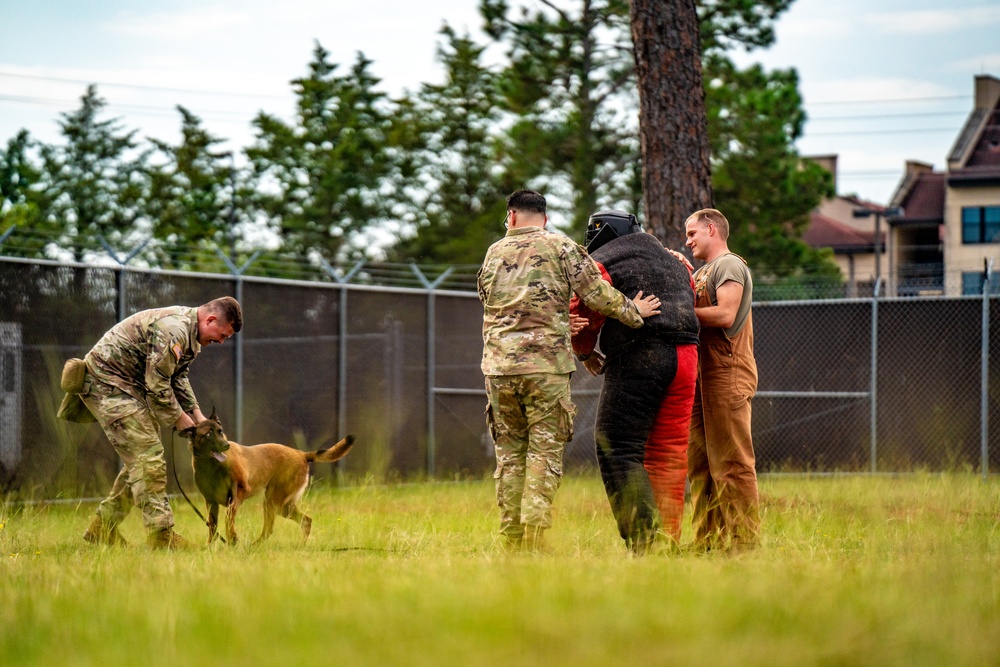 DSTB K9 Training