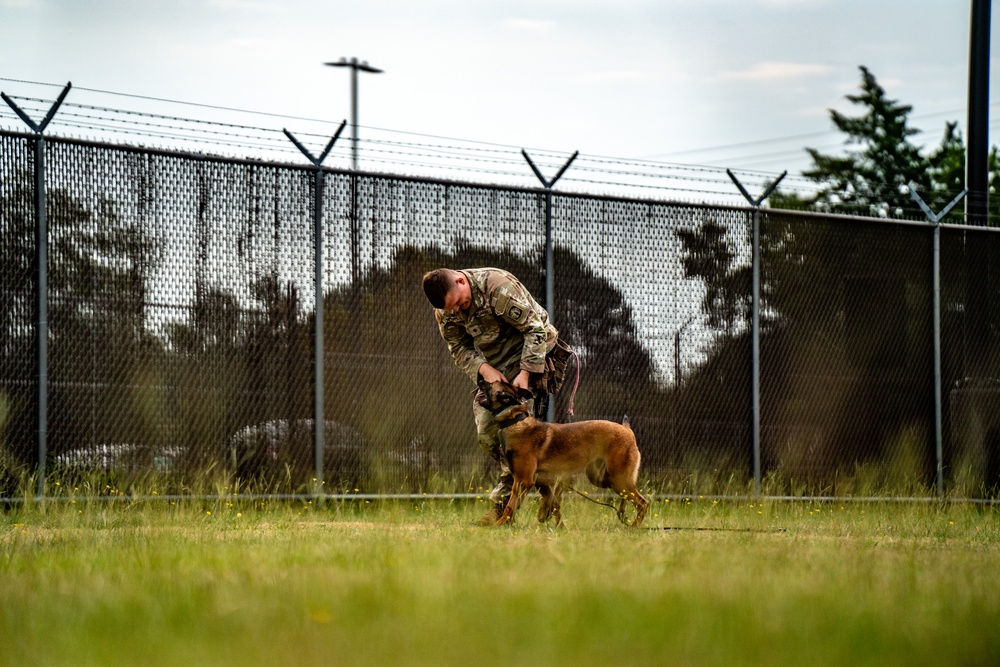 DSTB K9 Training
