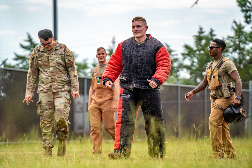 DSTB K9 Training