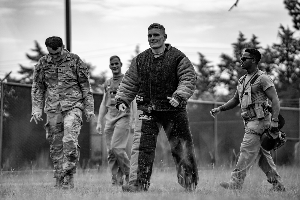 DSTB K9 Training