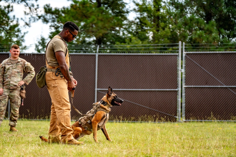 DSTB K9 Training
