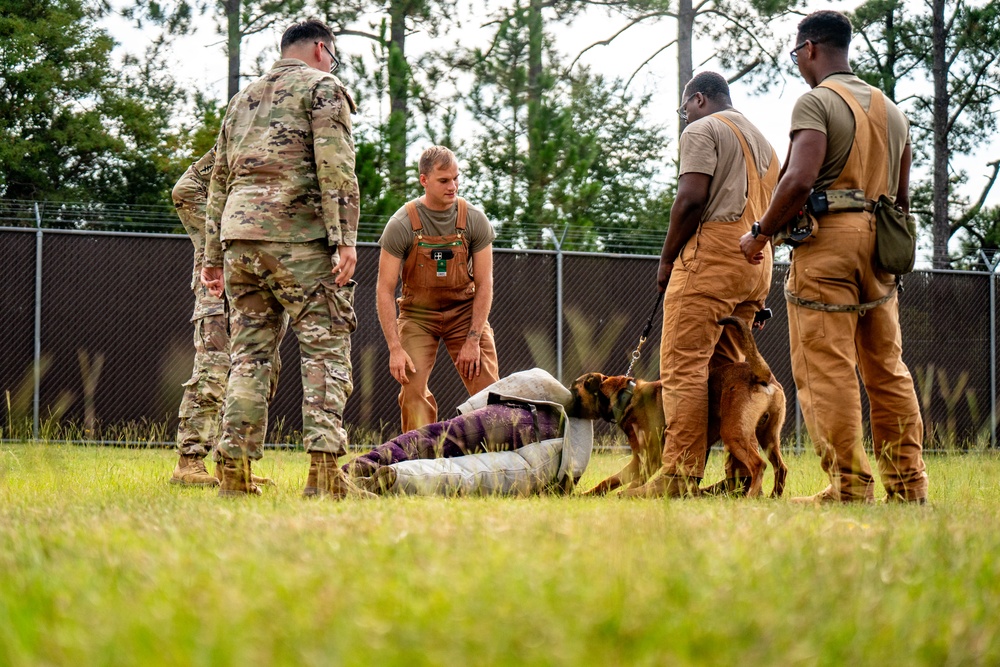DSTB K9 Training