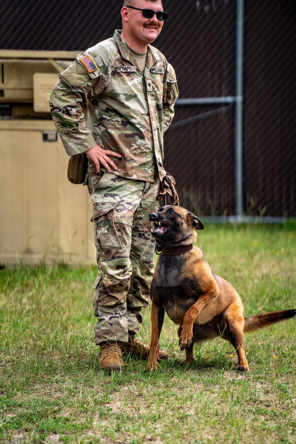 DSTB K9 Training