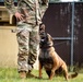 DSTB K9 Training