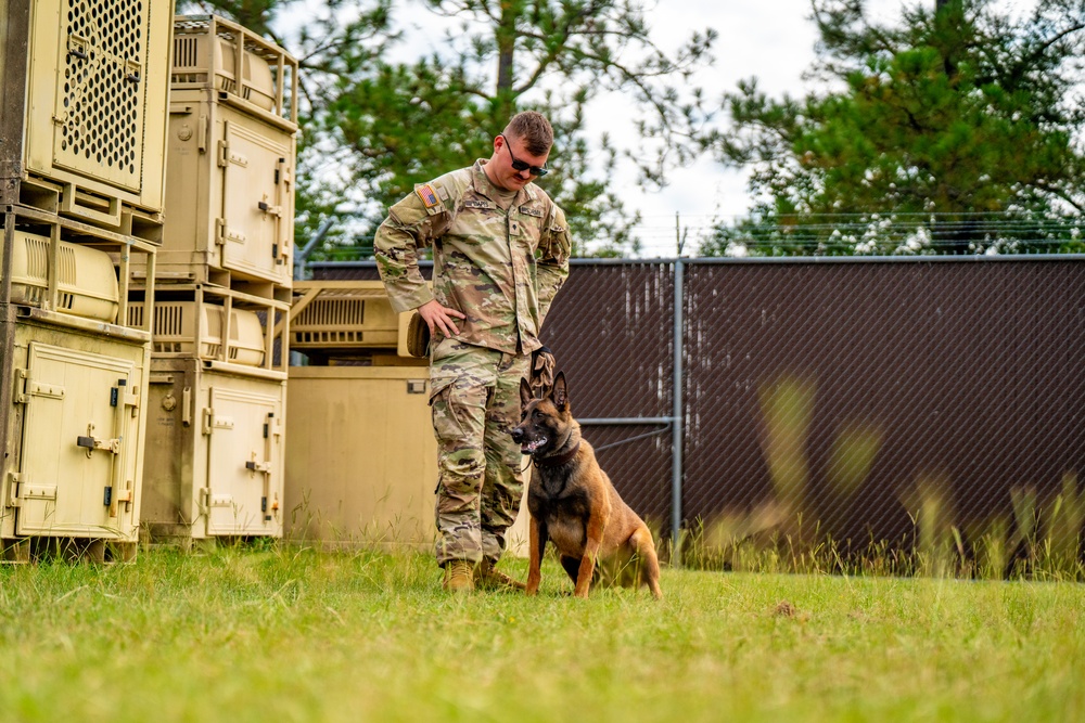 DSTB K9 Training