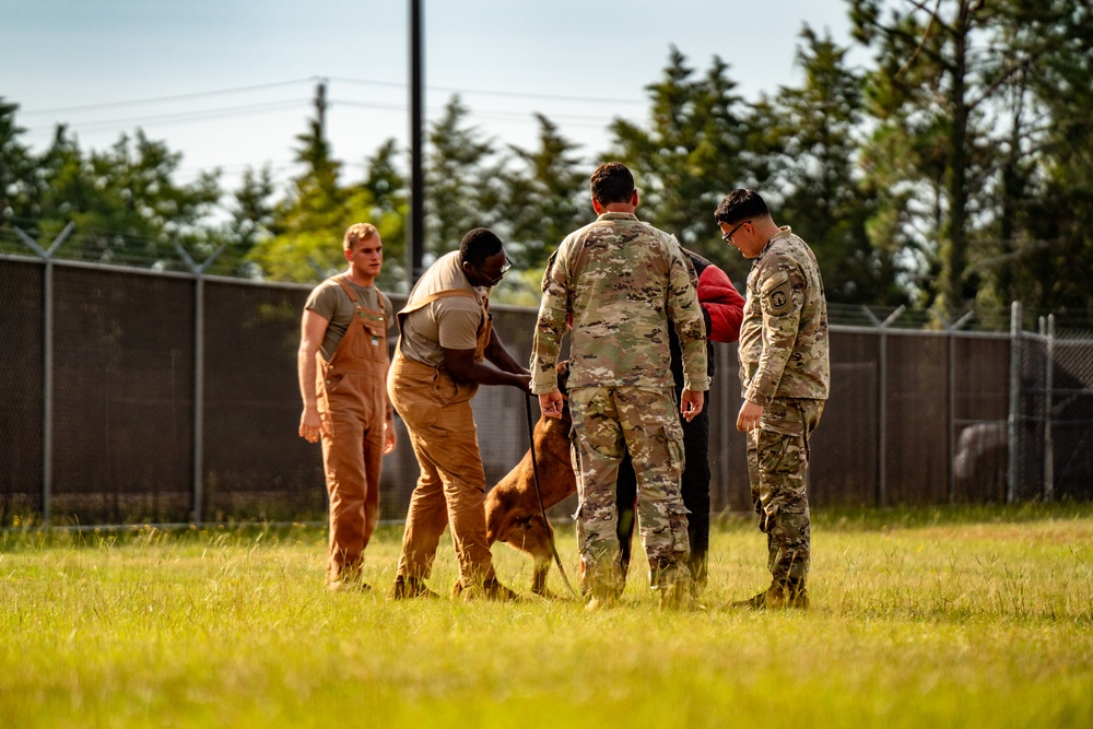 DSTB K9 Training