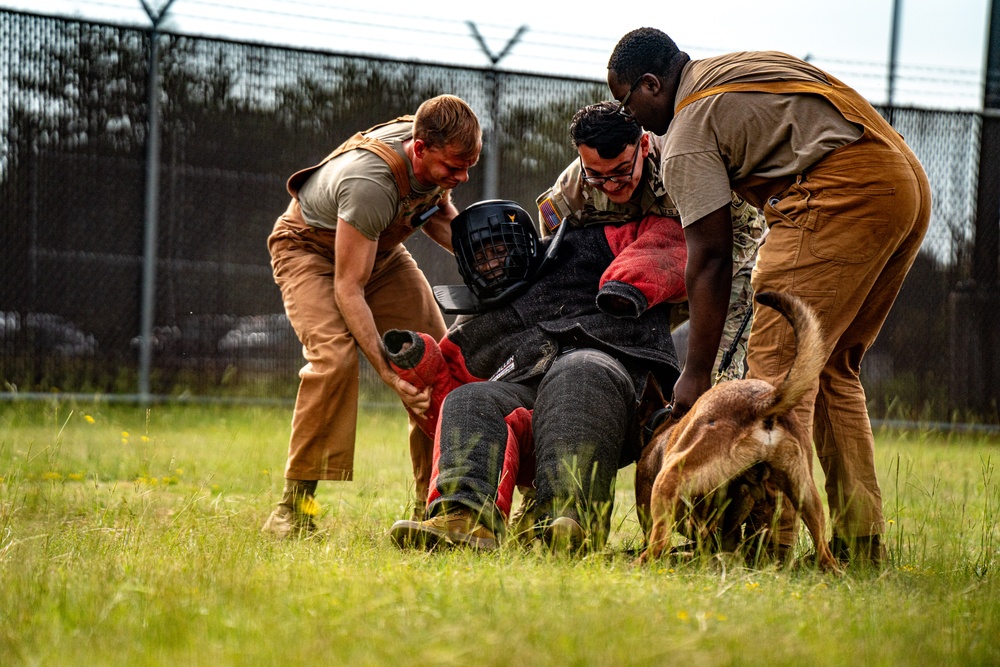 DSTB K9 Training