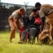 DSTB K9 Training
