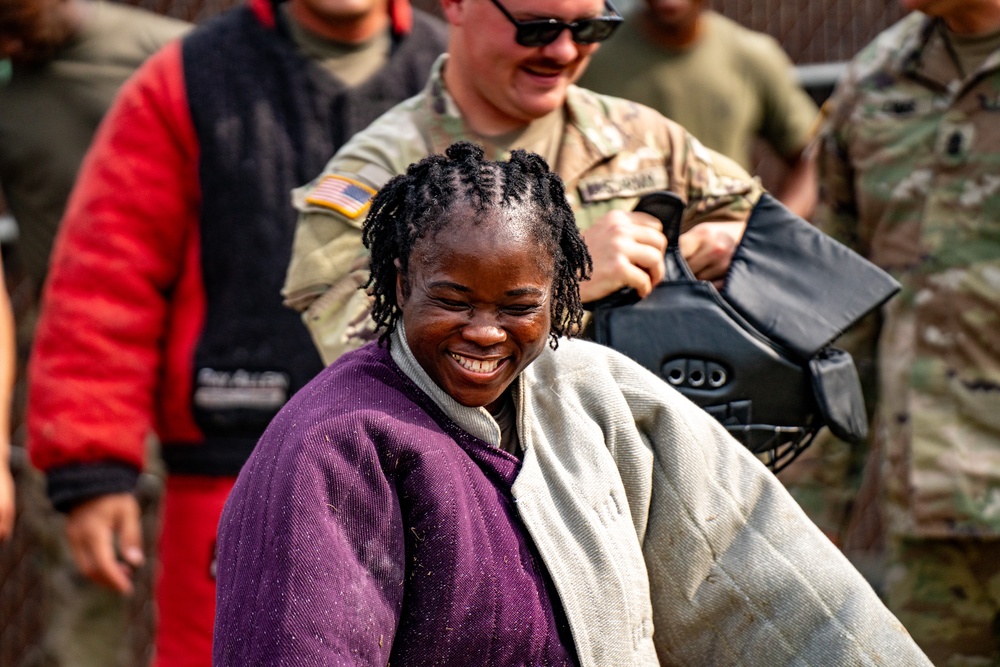 DSTB K9 Training