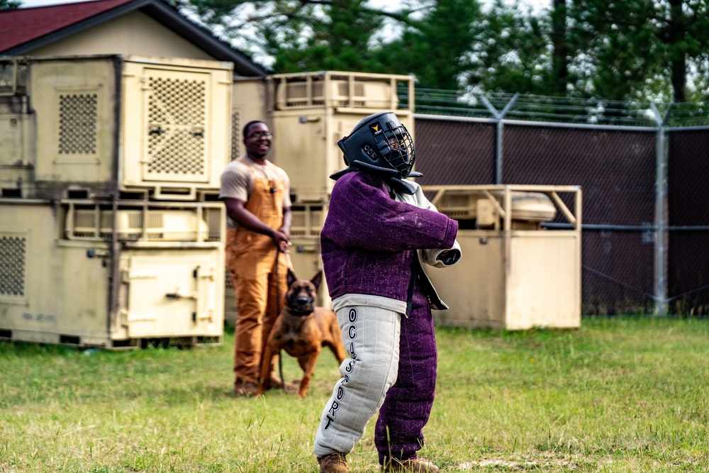 DSTB K9 Training
