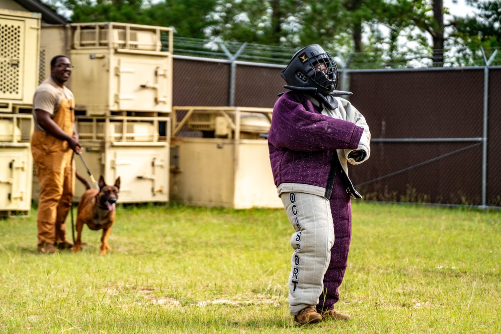 DSTB K9 Training