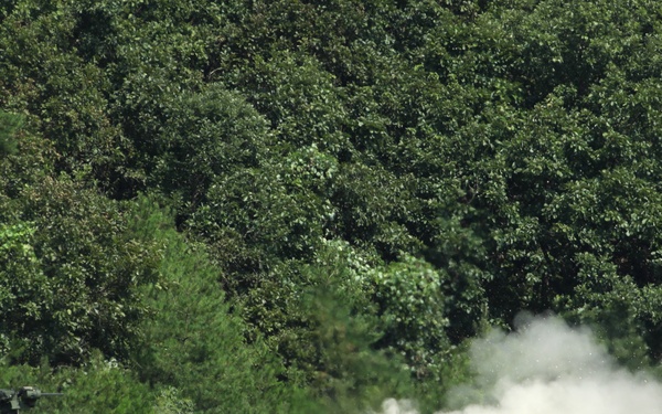 Two Nations One Peace