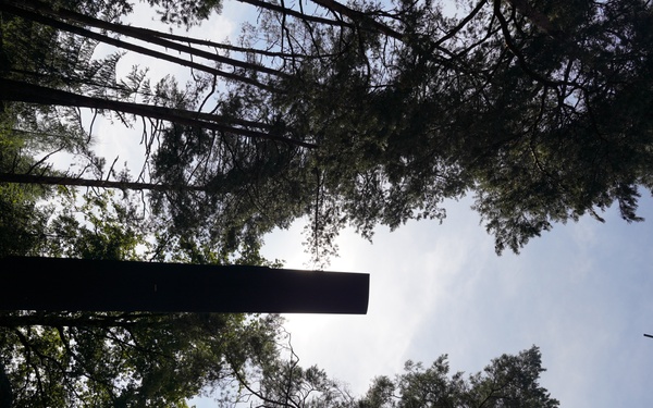 52nd commemoration of U.S. Army Chinook Helicopter crash in Pegnitz