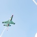 Thunderbirds rock Chicago skies