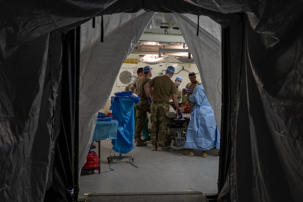 1st Medical Brigade Medical Readiness Assessment