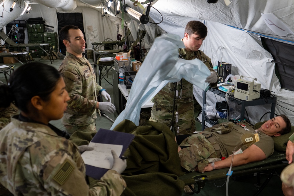 1st Medical Brigade Medical Readiness Assessment