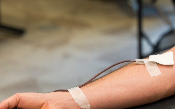 Wildcats Bleed for a Cause: 81st Readiness Division Soldiers Donate During Battle Assembly