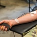 Wildcats Bleed for a Cause: 81st Readiness Division Soldiers Donate During Battle Assembly