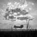 Paratroopers Conduct Load Up Onto Helicopter In Preparation For Air Assault