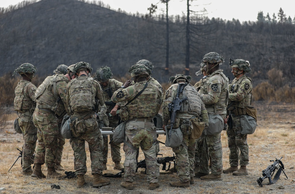 JBLM combat engineers conduct 'hazardous tree' demolition to combat wildfires