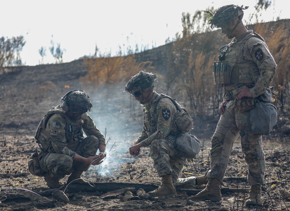 JBLM combat engineers conduct 'hazardous tree' demolition to combat wildfires