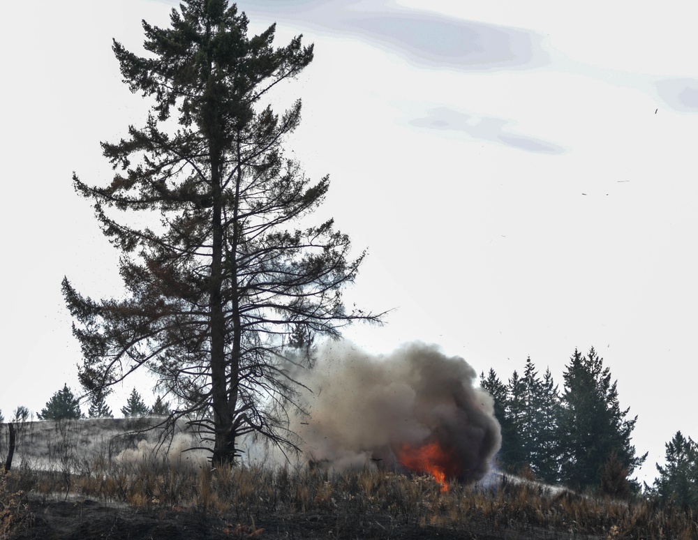 JBLM combat engineers conduct 'hazardous tree' demolition to combat wildfires