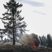 JBLM combat engineers conduct 'hazardous tree' demolition to combat wildfires