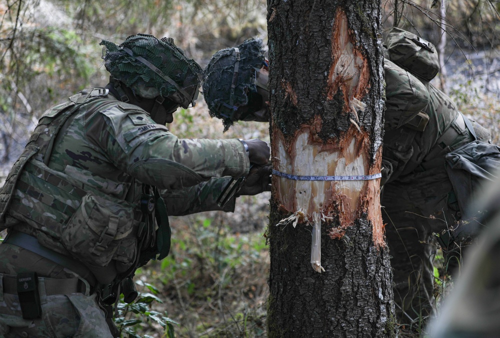 JBLM combat engineers conduct 'hazardous tree' demolition to combat wildfires