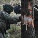 JBLM combat engineers conduct 'hazardous tree' demolition to combat wildfires