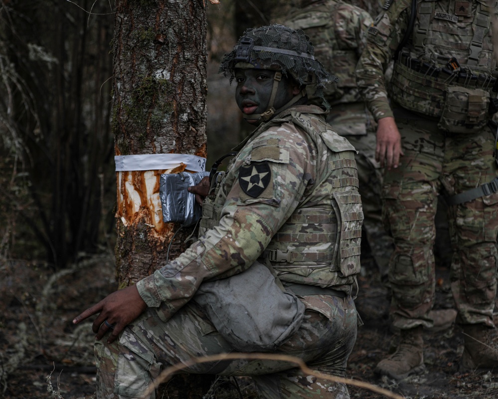 JBLM combat engineers conduct 'hazardous tree' demolition to combat wildfires