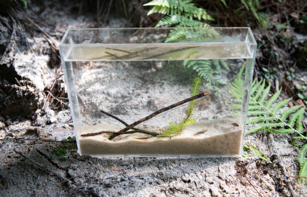Eglin fish removed from endangered species list