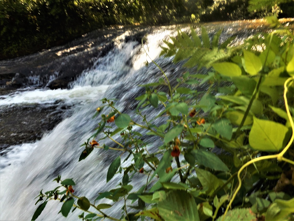 Trout Falls at Fort McCoy's Pine View Recreation Area