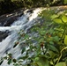 Trout Falls at Fort McCoy's Pine View Recreation Area