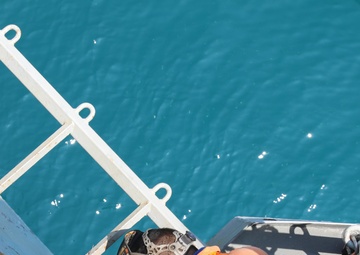 Contractors Make Repairs On Ramage