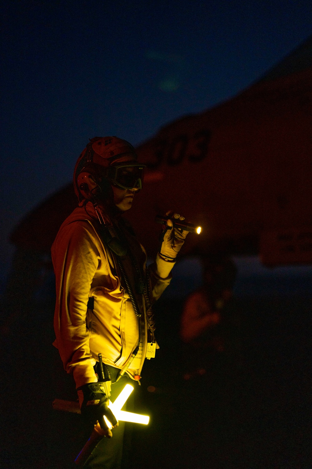 Sailor Inspects Aircraft