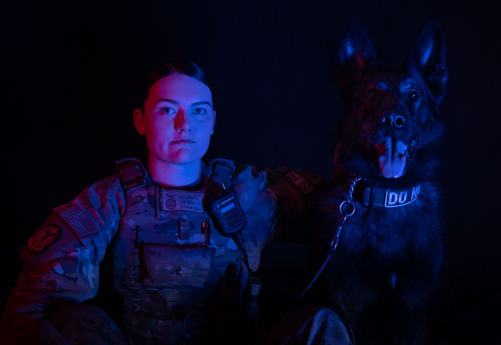 MWD Team