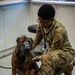 Pawsitively Healthy